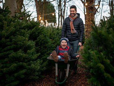 Choose and Cut Christmas Trees in Lenoir, North Carolina